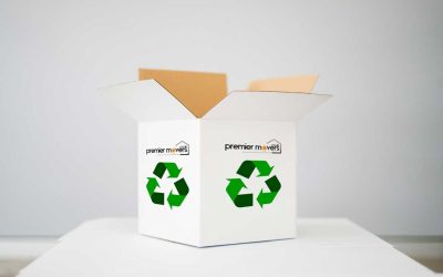 Embracing Eco-Friendly Practices: The Environmental Rewards of Reusing and Recycling Removal Boxes