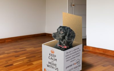 Moving Home With A Dog: Tips And Tricks For A Smooth Transition