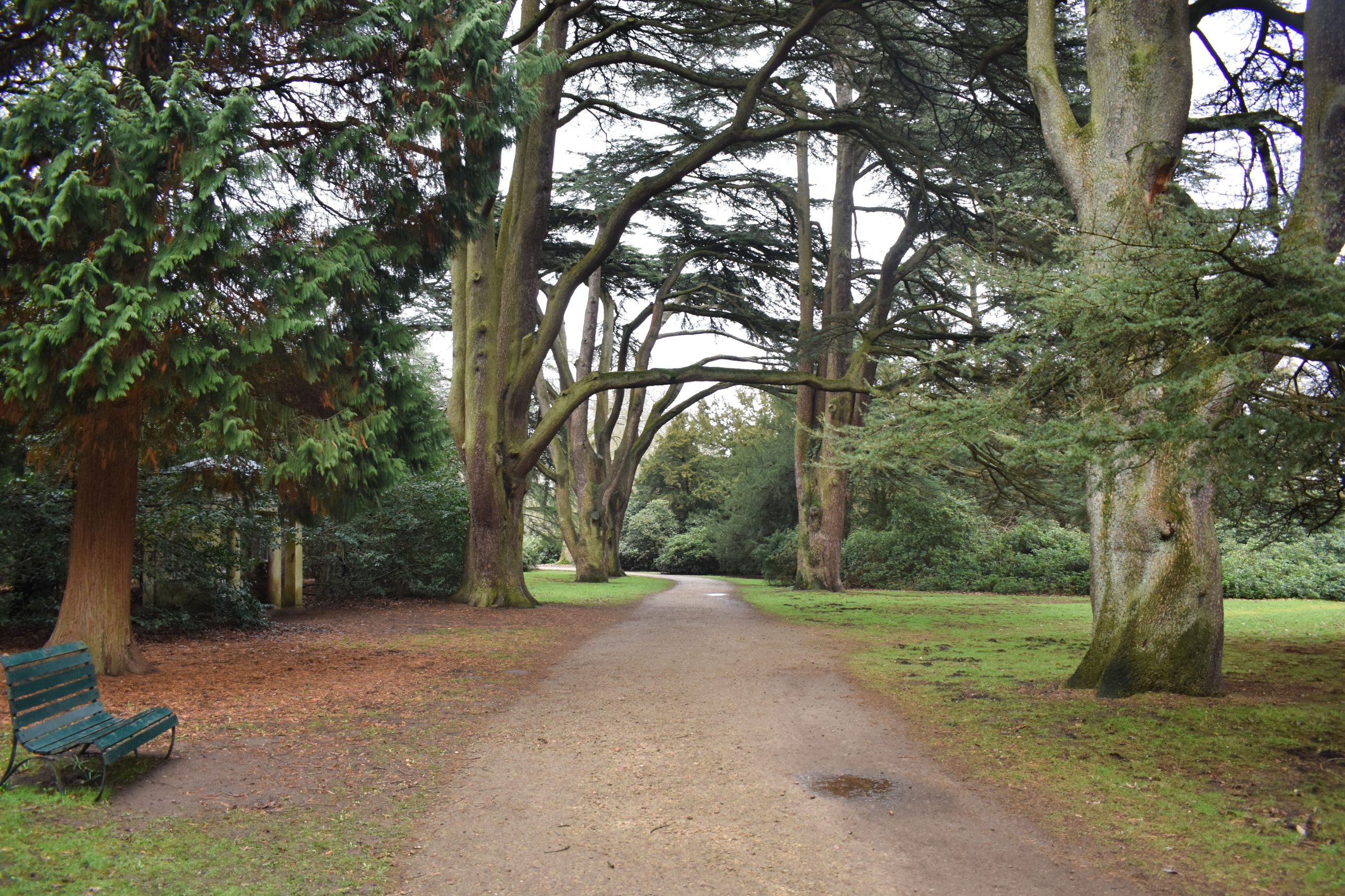 alt text for image of clumber park, a park in Worksop, Uk