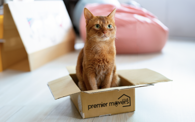 Purr-fect Moves: Premier Tips for Stress-Free Pet Relocation